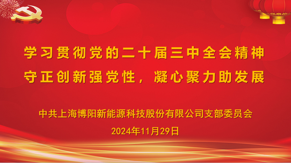 博阳新能党支部开展“守正创新强党性，凝心聚力助发展”主题党日活动